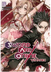 Kniha Sword art online z knihovny Jiřího Mahena