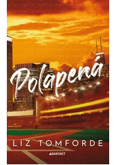 Kniha Větrné město z knihovny Jiřího Mahena