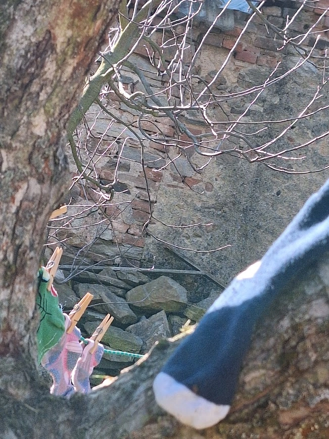 Akce KJM: Bookstart: Ztracená ponožka