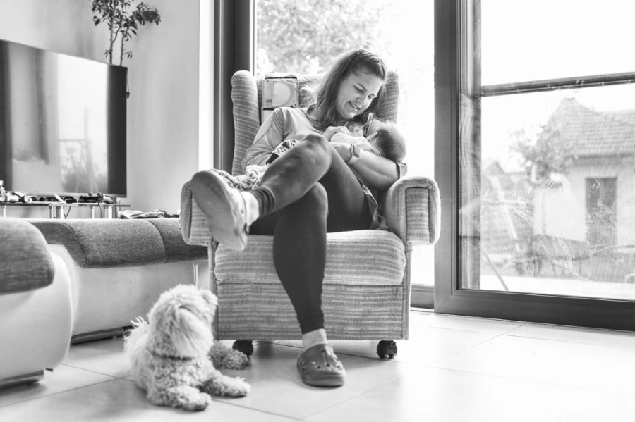 Akce KJM: Bookstart: Mravenečci