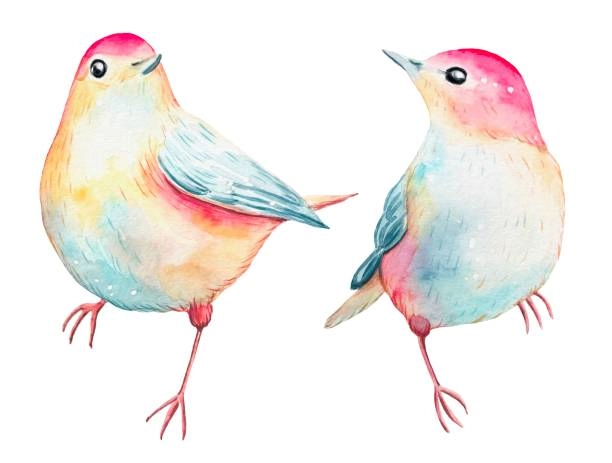 Akce KJM: Hnízdiště