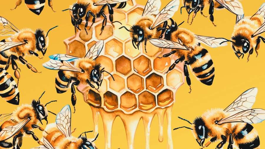 Akce KJM: Dětský kvíz: Bzzukot Fčel