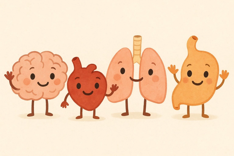 Akce KJM: Bookstart – Lidské tělo