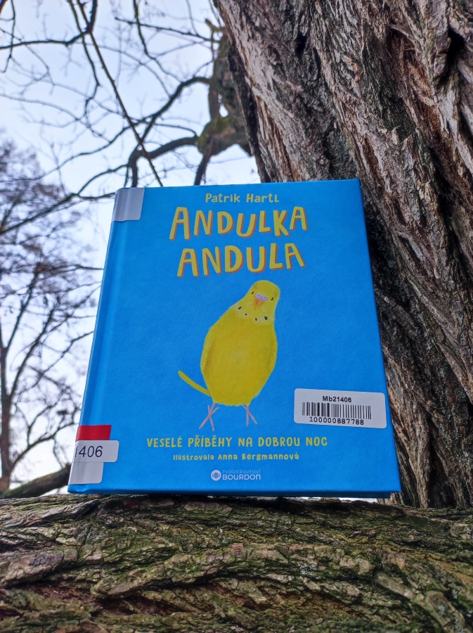 Akce KJM: Andulka Andula