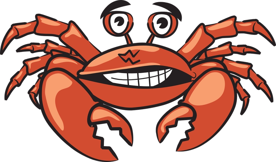 Akce KJM: Krab leze z díry...